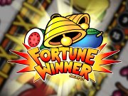 Fortune Winner gokkast